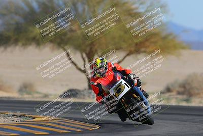 media/Feb-04-2023-SoCal Trackdays (Sat) [[8a776bf2c3]]/Turn 4 (Tree of Life 2pm)/